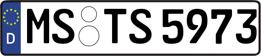 MS-TS5973