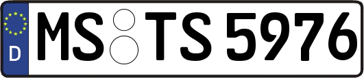 MS-TS5976