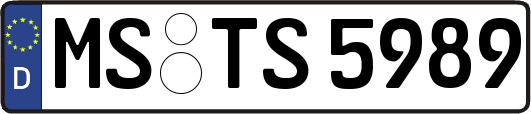 MS-TS5989