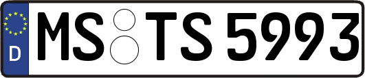 MS-TS5993