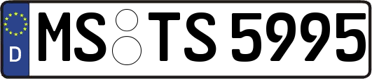 MS-TS5995