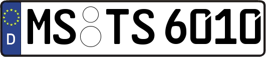 MS-TS6010