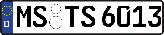 MS-TS6013