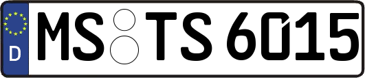 MS-TS6015