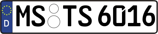 MS-TS6016
