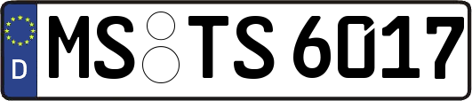 MS-TS6017