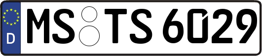 MS-TS6029