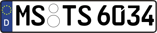 MS-TS6034
