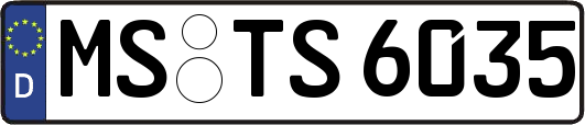 MS-TS6035