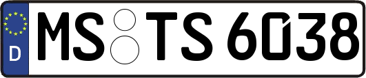 MS-TS6038
