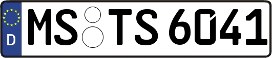 MS-TS6041