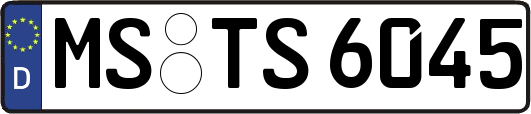 MS-TS6045