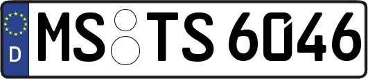 MS-TS6046