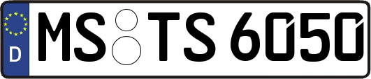 MS-TS6050