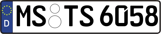 MS-TS6058