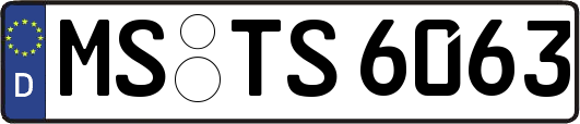 MS-TS6063