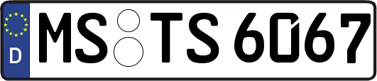 MS-TS6067