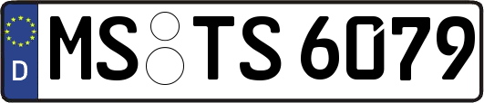 MS-TS6079