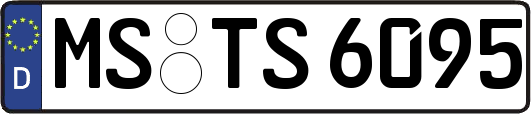 MS-TS6095