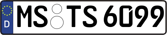 MS-TS6099