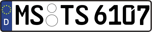 MS-TS6107