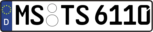 MS-TS6110