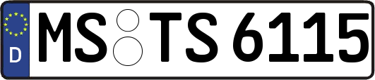 MS-TS6115
