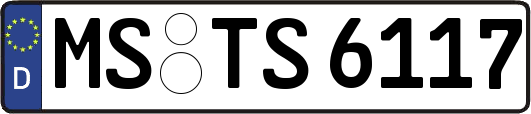 MS-TS6117