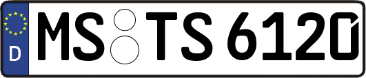 MS-TS6120
