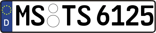 MS-TS6125