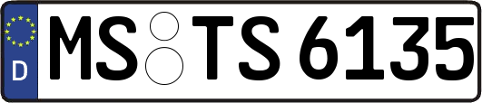 MS-TS6135