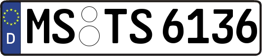 MS-TS6136
