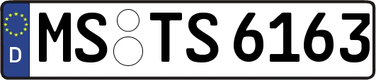 MS-TS6163