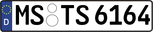 MS-TS6164
