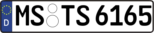 MS-TS6165