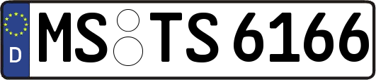 MS-TS6166