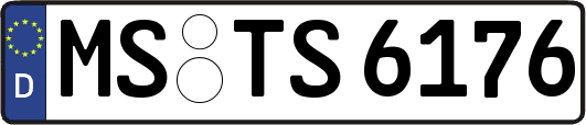 MS-TS6176