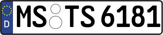 MS-TS6181