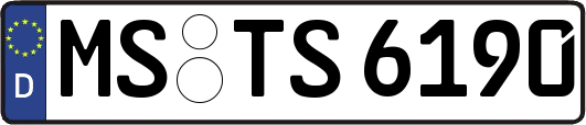 MS-TS6190