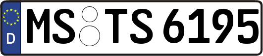 MS-TS6195