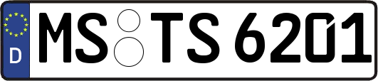 MS-TS6201