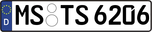 MS-TS6206