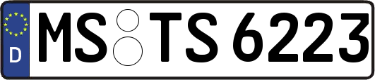MS-TS6223