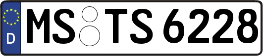 MS-TS6228