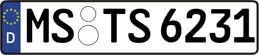 MS-TS6231