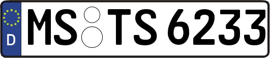 MS-TS6233