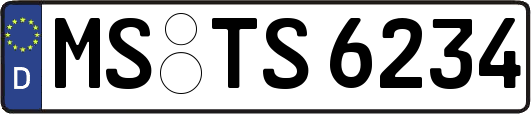 MS-TS6234