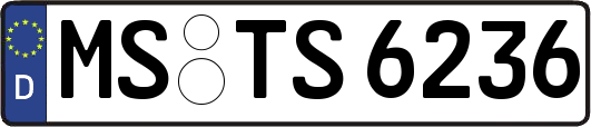 MS-TS6236