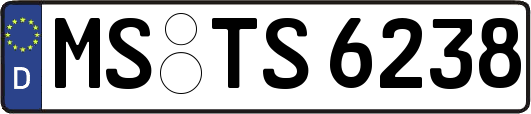 MS-TS6238