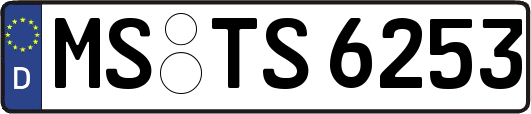 MS-TS6253